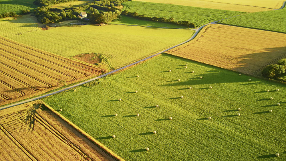 L'association le Lierre rejette une cogestion des politiques agricoles peu favorable à la généralisation d'une "agroécologie ambitieuse"